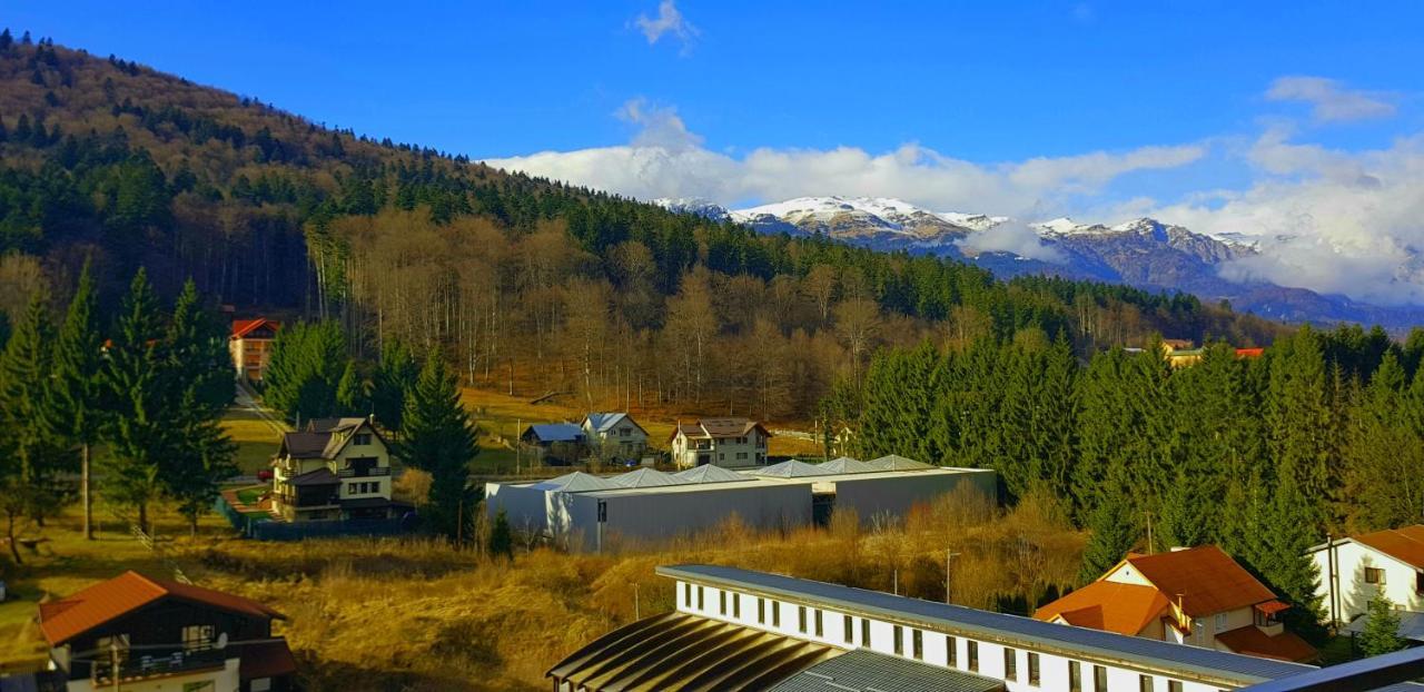 Vintage Home Sinaia Exterior foto