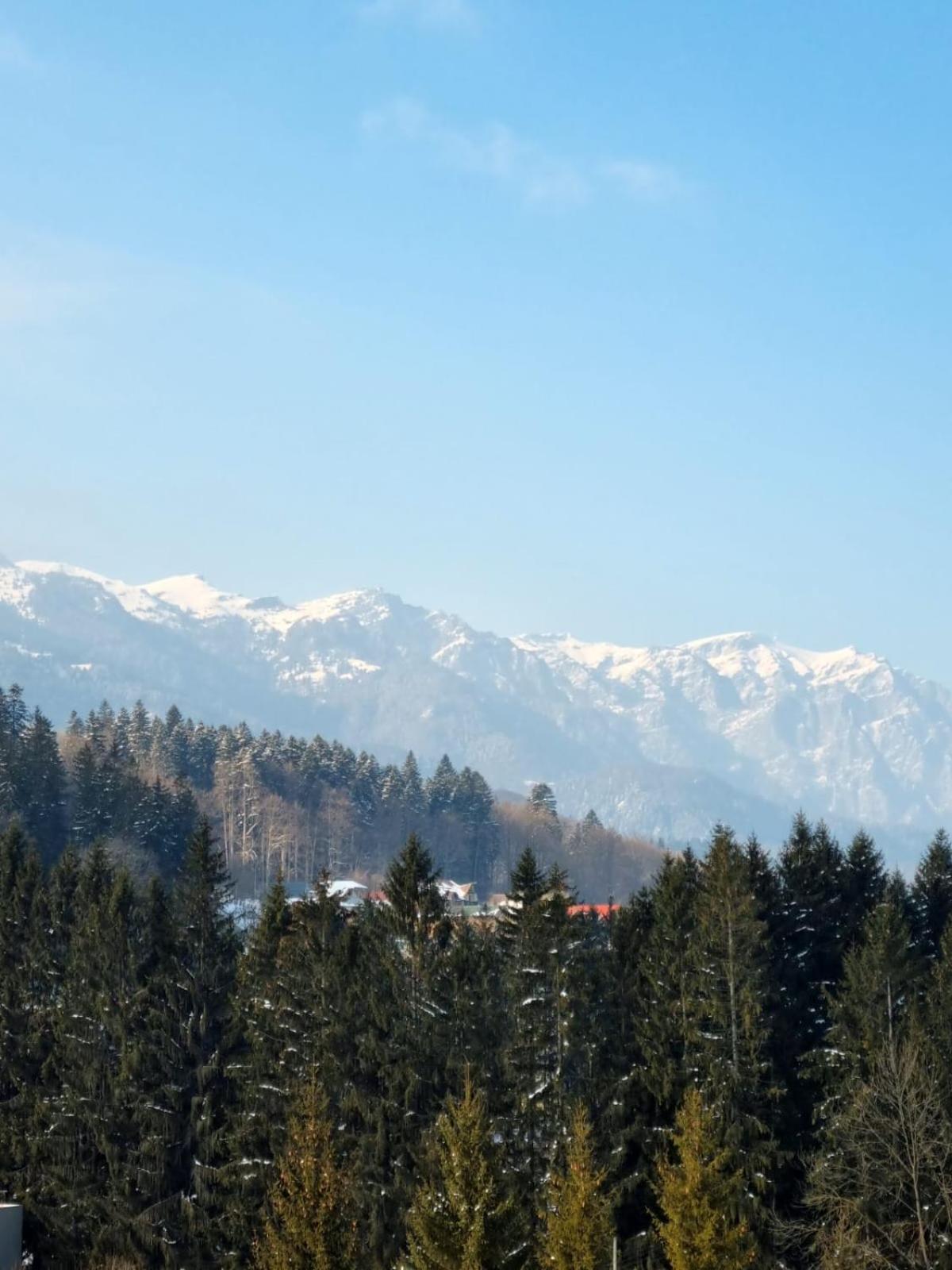 Vintage Home Sinaia Exterior foto